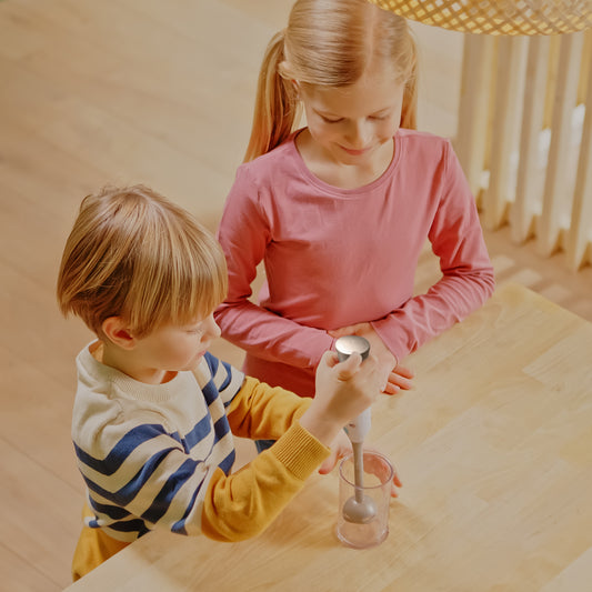 Hand blender, silver